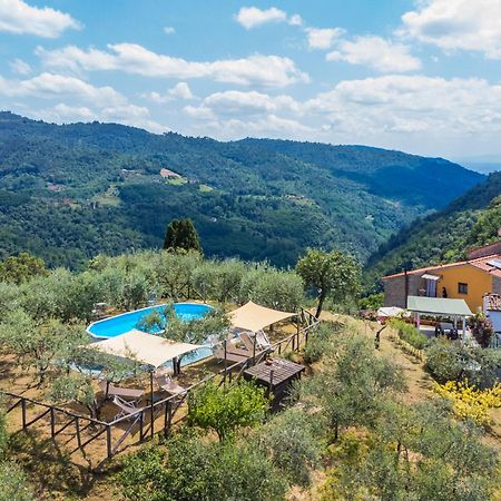 Holiday Home Poggetto Pellegrini By Interhome Vellano Zewnętrze zdjęcie